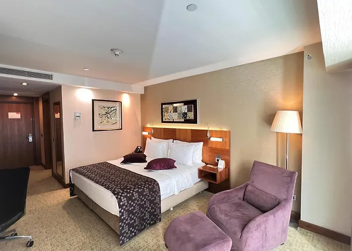 ホテル クラウンプラザ ハルビエ イスタンブール