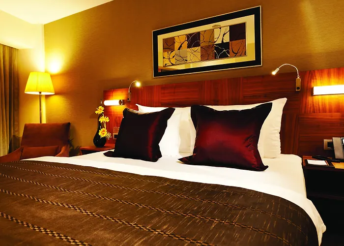 ホテル クラウンプラザ ハルビエ 5*