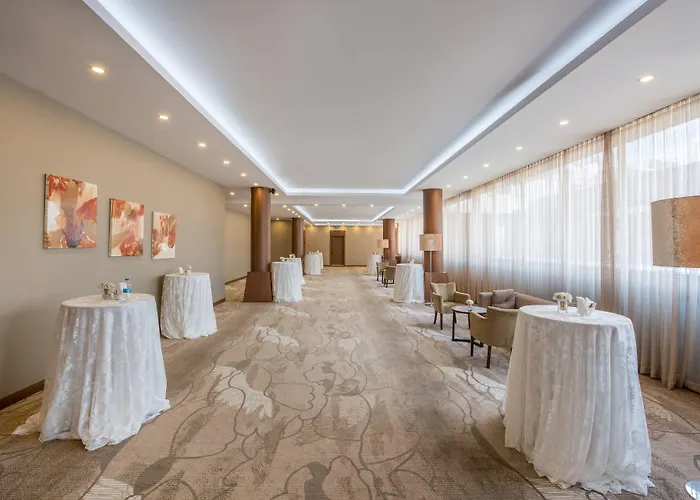 ホテル クラウンプラザ ハルビエ 5*